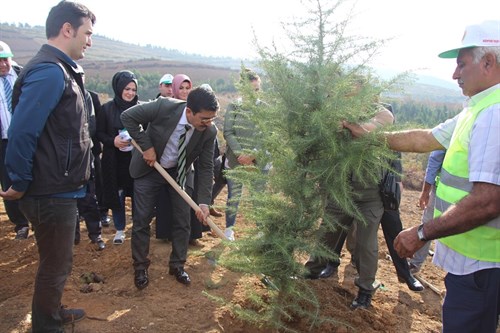 Kaymakamımız Abdulselam Öztürk "Fidan Dikimi" Seferberliğine Katıldı